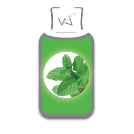 E-liquide Menthe Fraîche Vincent dans les Vapes